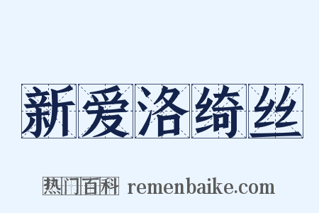 新爱洛绮丝是什么意思的图片